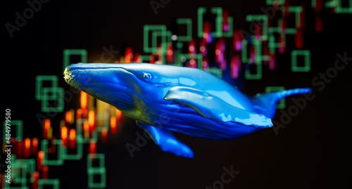 Cryptocurrency whale holder and buyer with soaring stock trading prices