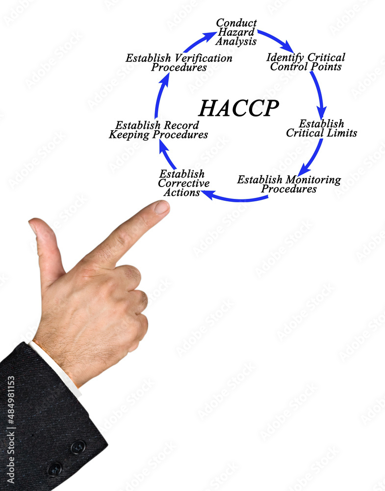 Seven steps of HACCP implementation cycle Seven steps of HACCP implementation cycle