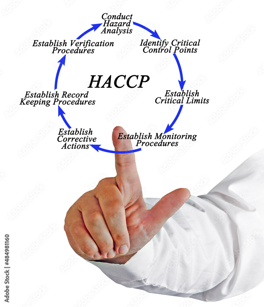 Seven steps of HACCP implementation cycle Seven steps of HACCP implementation cycle