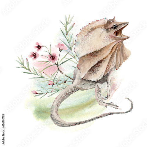 Watercolor frilled agama lizard  illustration photo
