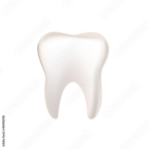 human tooth on a white background