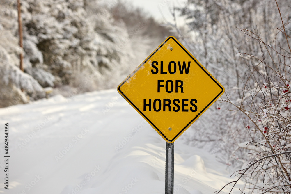 A Yellow Warning Sign reading Slow for Horses A Yellow Warning Sign reading Slow for Horses