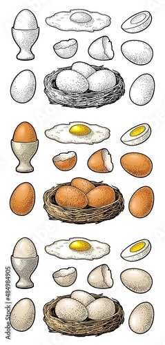 Fried and boiled chicken eggs with broken shell and nest. Vintage color engraving illustration