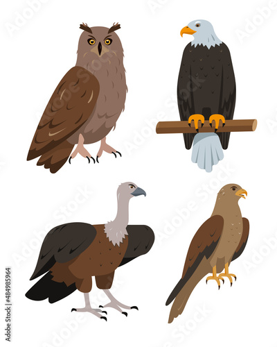 Set of predatory birds icons. Owl, eagle, kite or hawk and vulture bird in different poses isolated. Nature and wildlife, birdwatching and ornithology design. Vector cartoon or flat illustration.