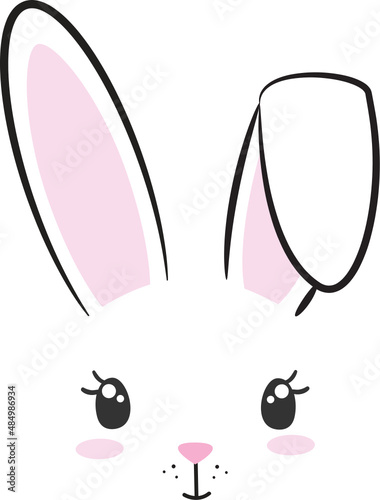 Cute Bunny Face