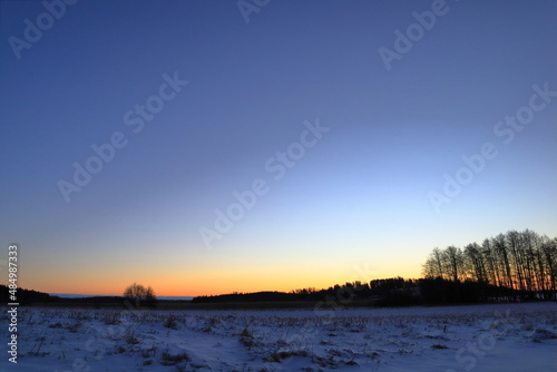Morning at sunrise during the Swedish countryside. Winter and snow outside. Golden hour. Skokloster, near Stockholm, Sweden, Scandinavia, Europe.