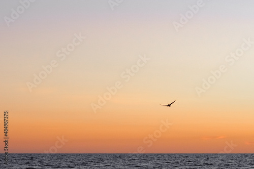 sunset over the sea © Charles Ellinwood