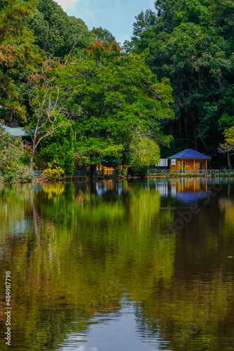 Calm lake view at Taman Eko Rimba Terenggun, Kuala Lipis, Pahang, Malaysia.
