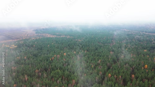 Autumn Forest Aerial Top Down View Zoom. Drone flies high over coluds.