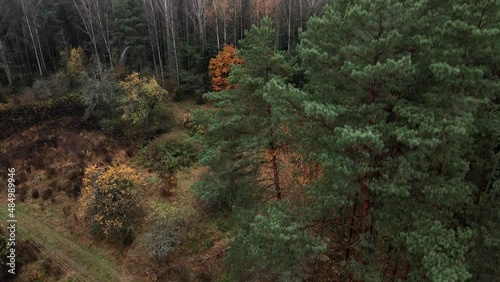 Autumn Forest Aerial Top Down View Zoom Landing. Drone flies high over coluds.