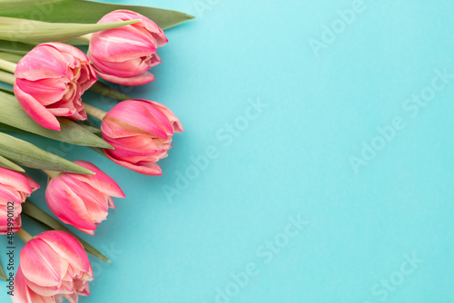 Pink tulip flower on pastel table background with copy space for text. International Women day, Mother day and Happy Valentine day concept.