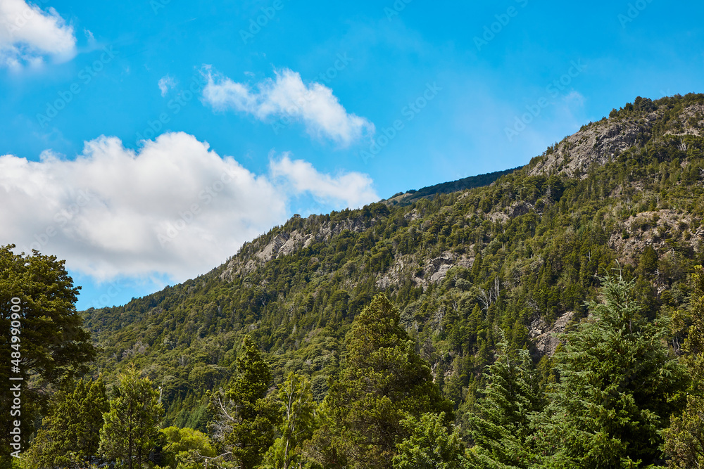 Mountains with stone, trees and pines in the Andes Mountains in Patagonia, Argentina. Sky with clouds.
