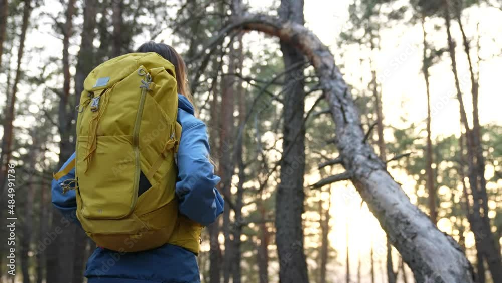 hiker in the park. girl tourist with a backpack walk through the forest park sunlight. travel tourism concept success. hiker walk through a pine forest in winner a wild park. girl feminism concept hiker in the park. girl tourist with a backpack walk through the forest park sunlight. travel tourism concept success. hiker walk through a pine forest in winner a wild park. girl feminism concept