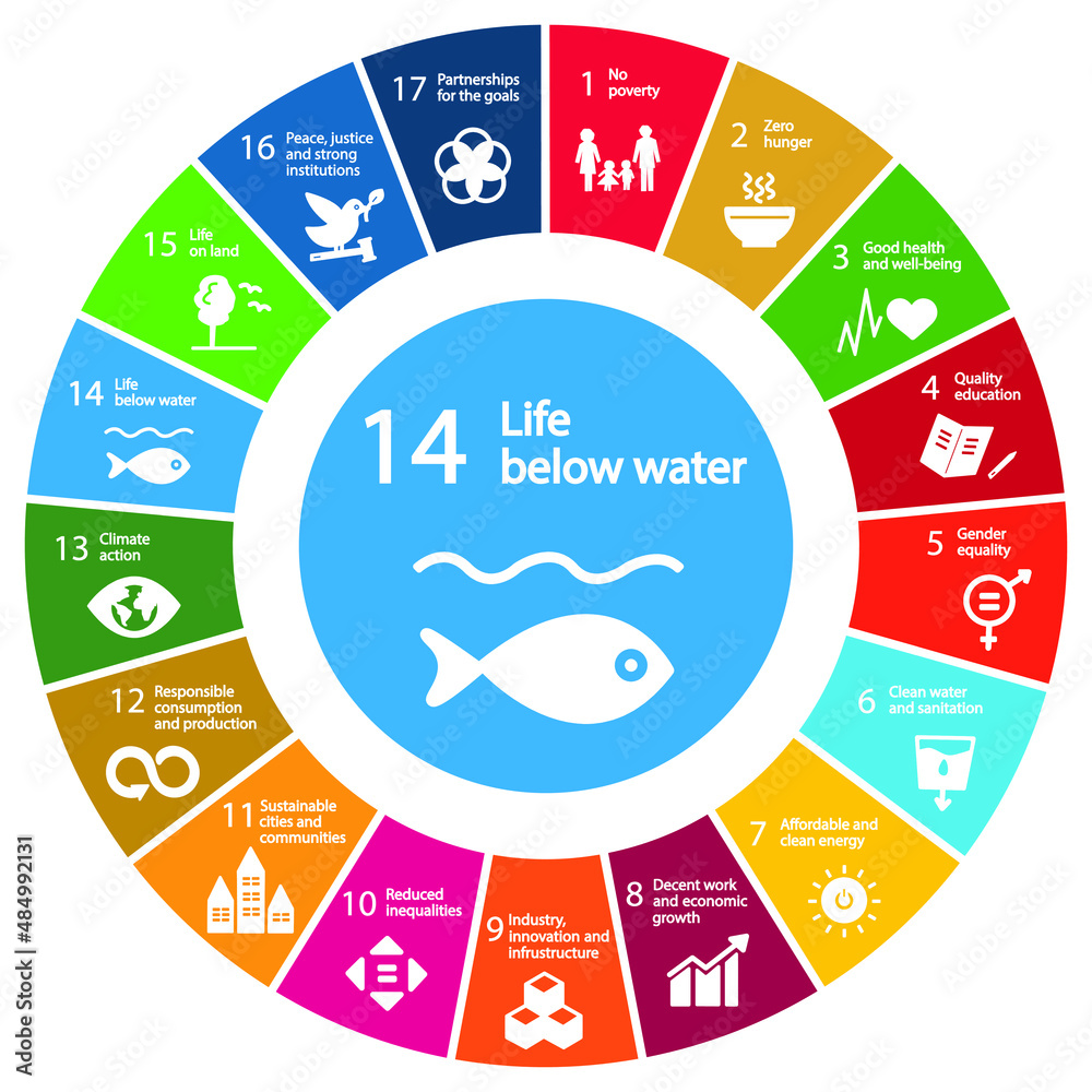 Life below Water Icon Goal 14 out of 17 Sustainable Development Goals