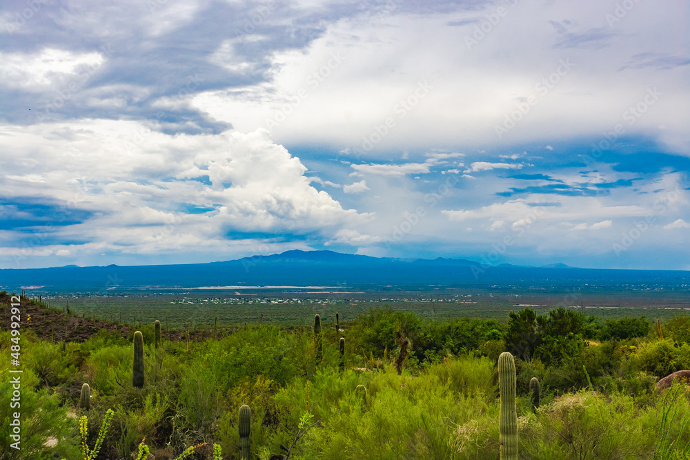 Tucson basin from Saguaro National Park, Tucson mountains on the horizon