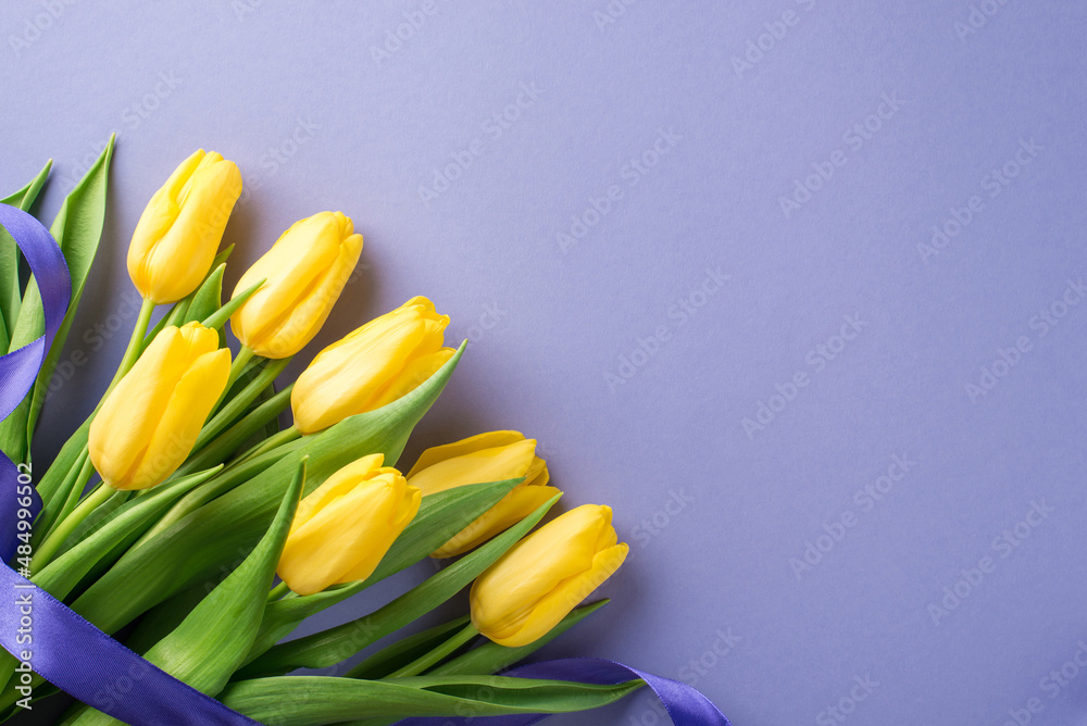 Top view photo of woman's day composition bouquet of yellow tulips and purple ribbon on isolated pastel lilac background with empty space Top view photo of woman's day composition bouquet of yellow tulips and purple ribbon on isolated pastel lilac background with empty space