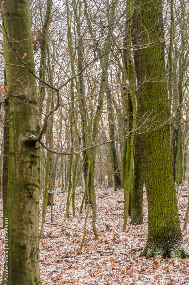 Naturalny in nature