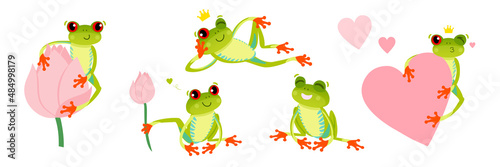 Set of cute red eyed frogs. Tree frog in different poses. Vector illustration. Isolated on white backdrop.