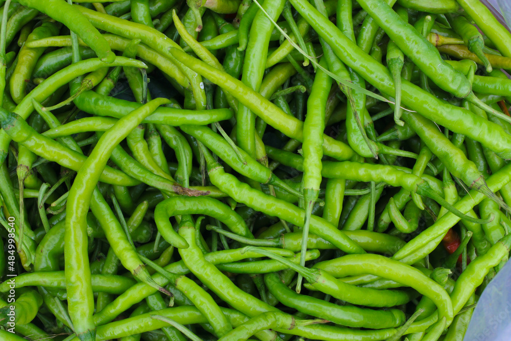 Top view of green chili peppers freshly harvested by Indonesian local farmers from fields. Top view of green chili peppers freshly harvested by Indonesian local farmers from fields.