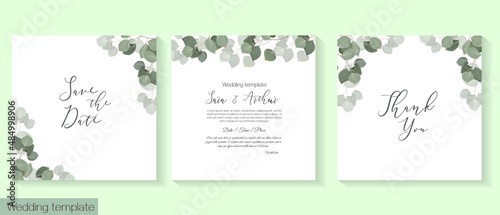 Herbal vector template for wedding invitation. Green branches of eucalyptus.