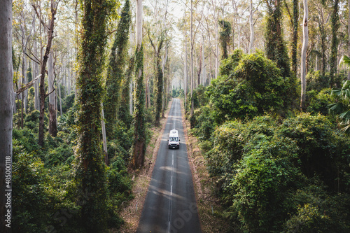Valokuvatapetti Driving with campervan through jungle woods Roadtrip in Australia Long straight