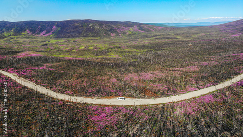 Road trip, RV, camping tourist holiday scenic shot from aerial view in northern Canada during stunning summer time day. 
