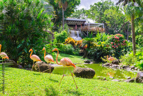 Botanical Garden in Deshaies, north west of Basse-Terre, Guadeloupe