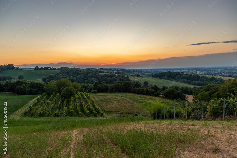 Sunset on the Parma hills between the vineyards and agricultural fields in the Po valley.