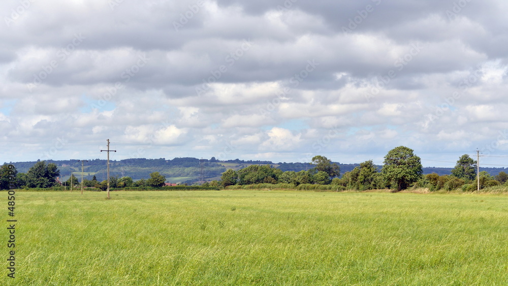 landscape with grass and sky landscape with grass and sky