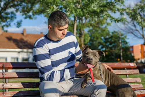 Man adult caucasian male having fun with his dog apbt american pit bull terrier sitting on the bench outdoor in sunny day photo