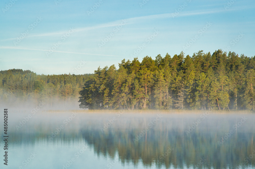 beautiful swedish lake in summertime with a blue sky beautiful swedish lake in summertime with a blue sky