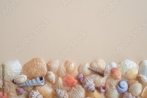 Beautiful Coloured Seashells from Above on a Cream Background with Copy Space photo