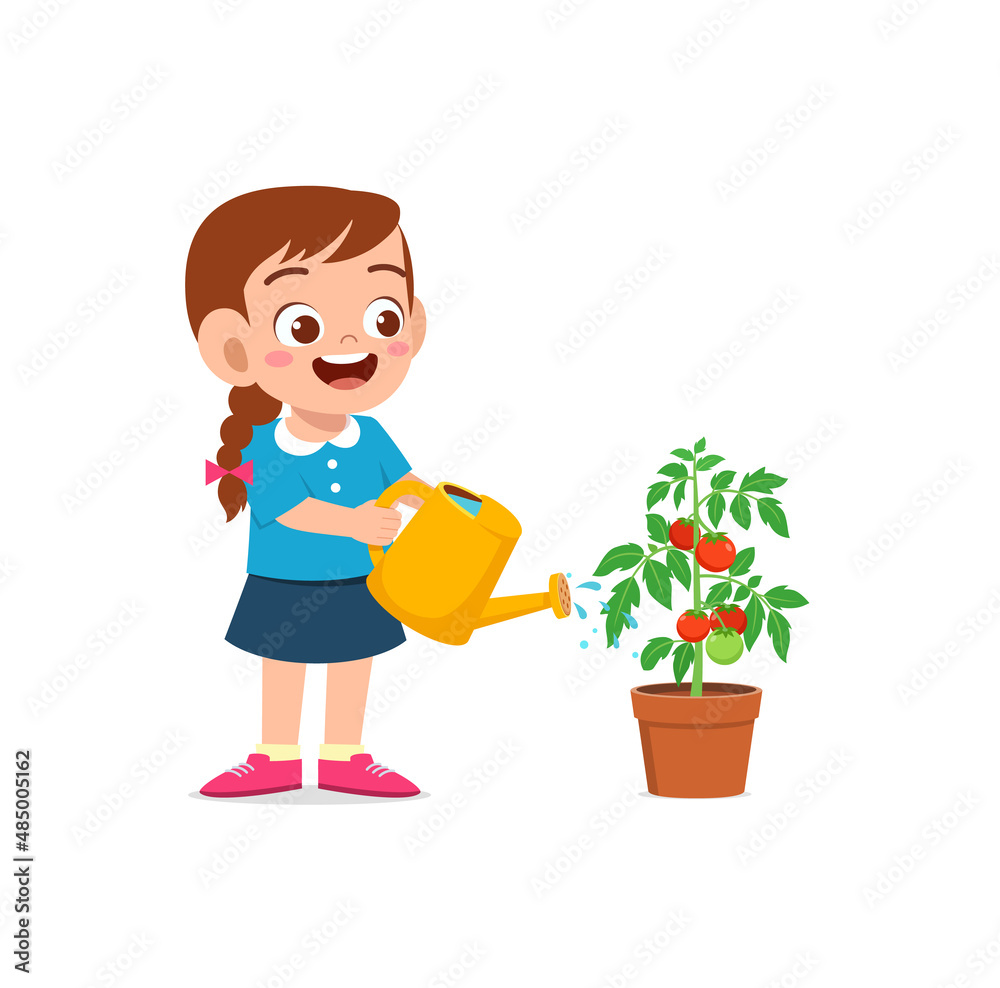 cute little girl stand and watering tomato tree cute little girl stand and watering tomato tree