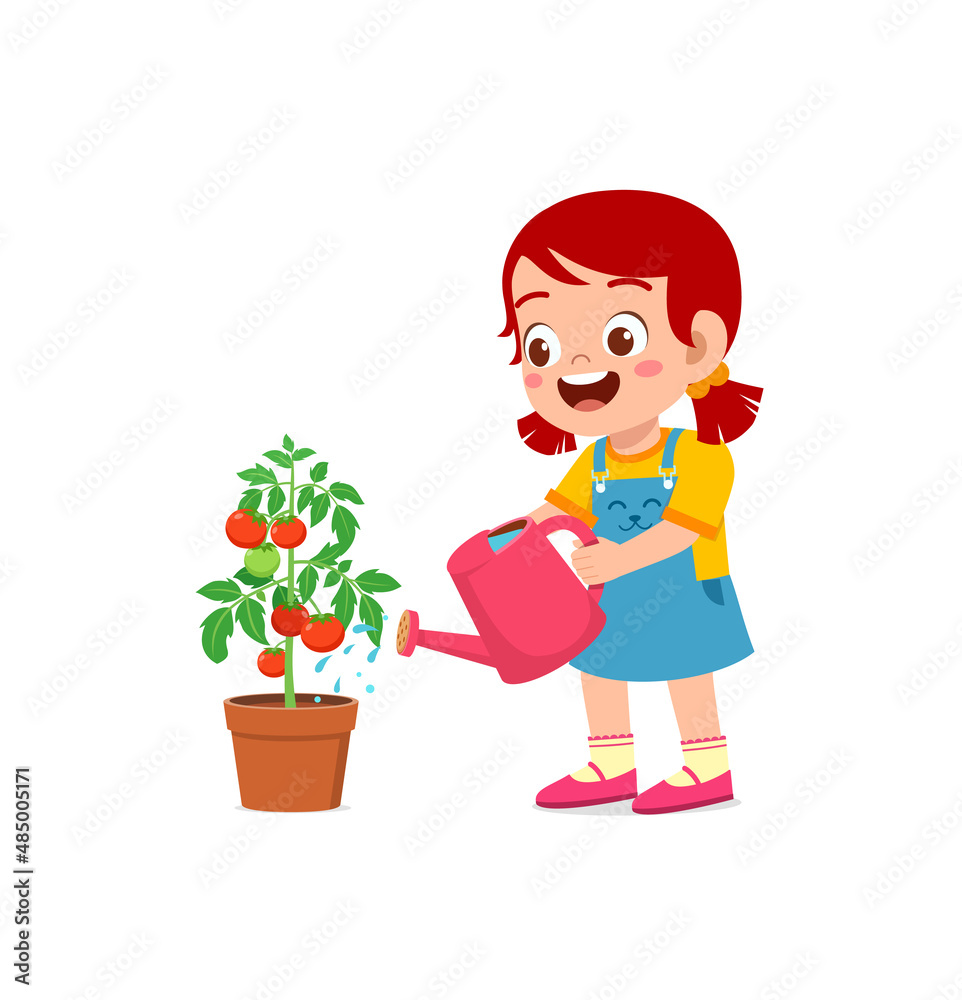 cute little girl stand and watering tomato tree cute little girl stand and watering tomato tree