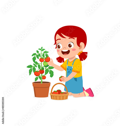 cute little girl harvest tomato in the garden