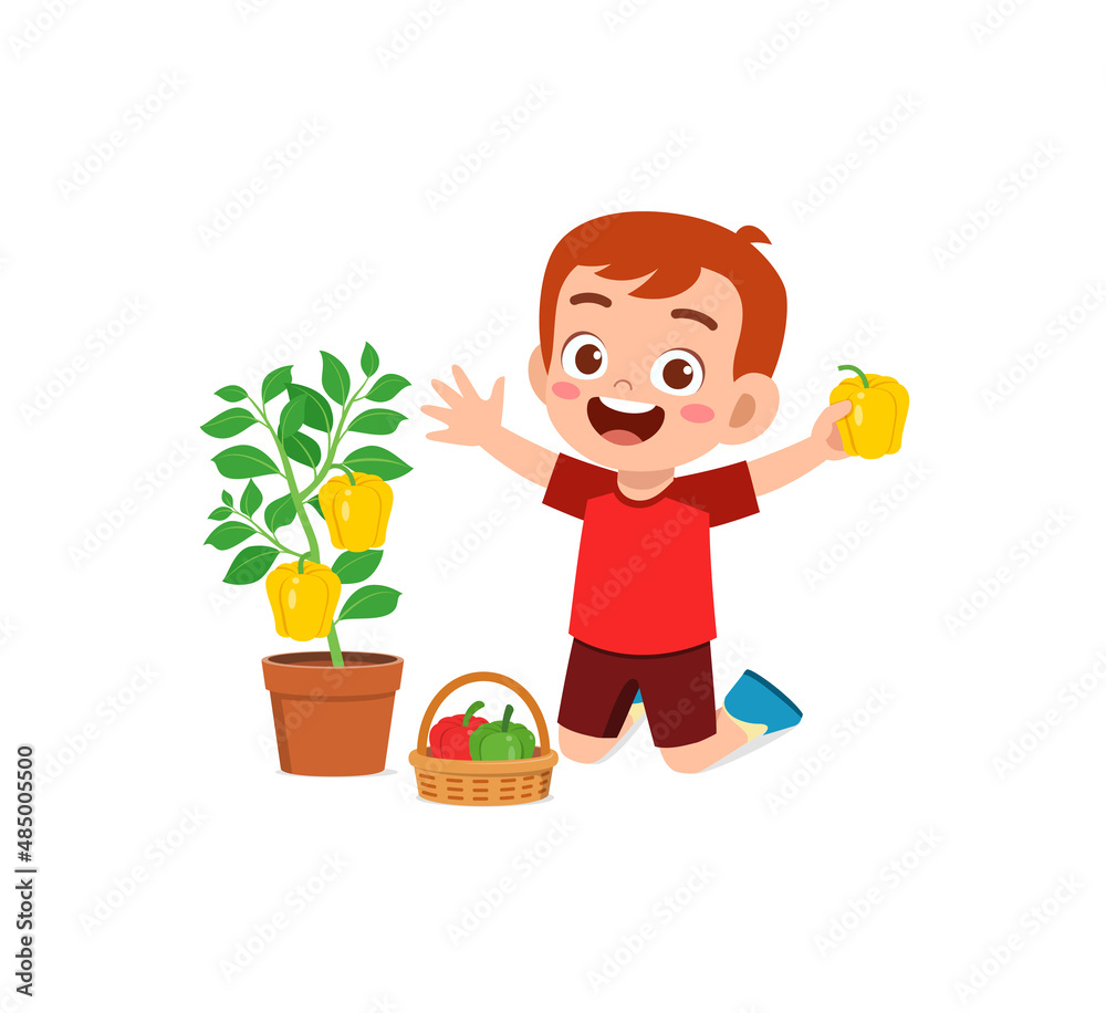cute little boy harvest paprika in the garden cute little boy harvest paprika in the garden