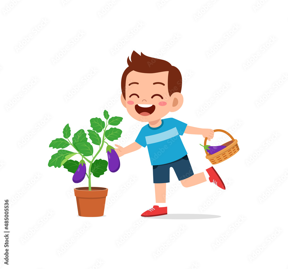 cute little boy harvest eggplant in the garden cute little boy harvest eggplant in the garden