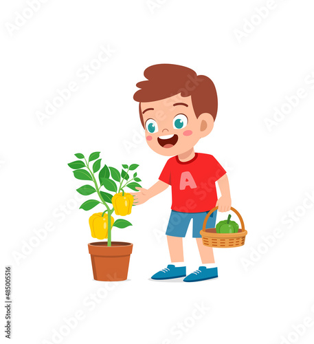 cute little boy harvest paprika in the garden