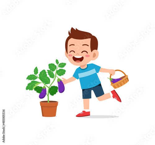 cute little boy harvest eggplant in the garden