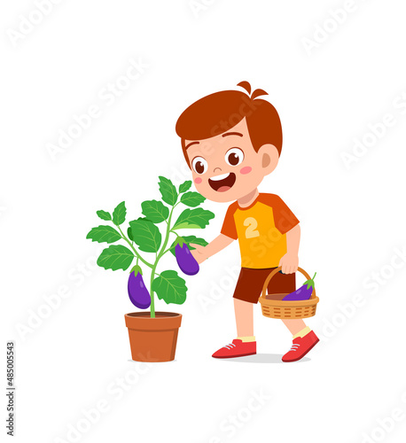 cute little boy harvest eggplant in the garden