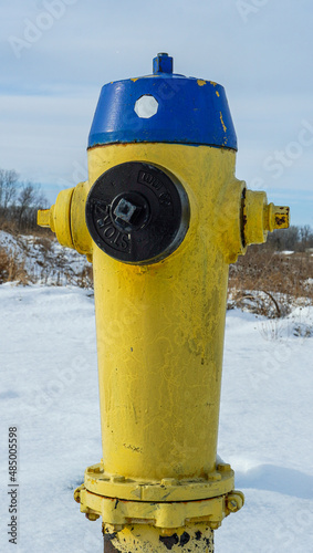 Fire Hydrants in the cold