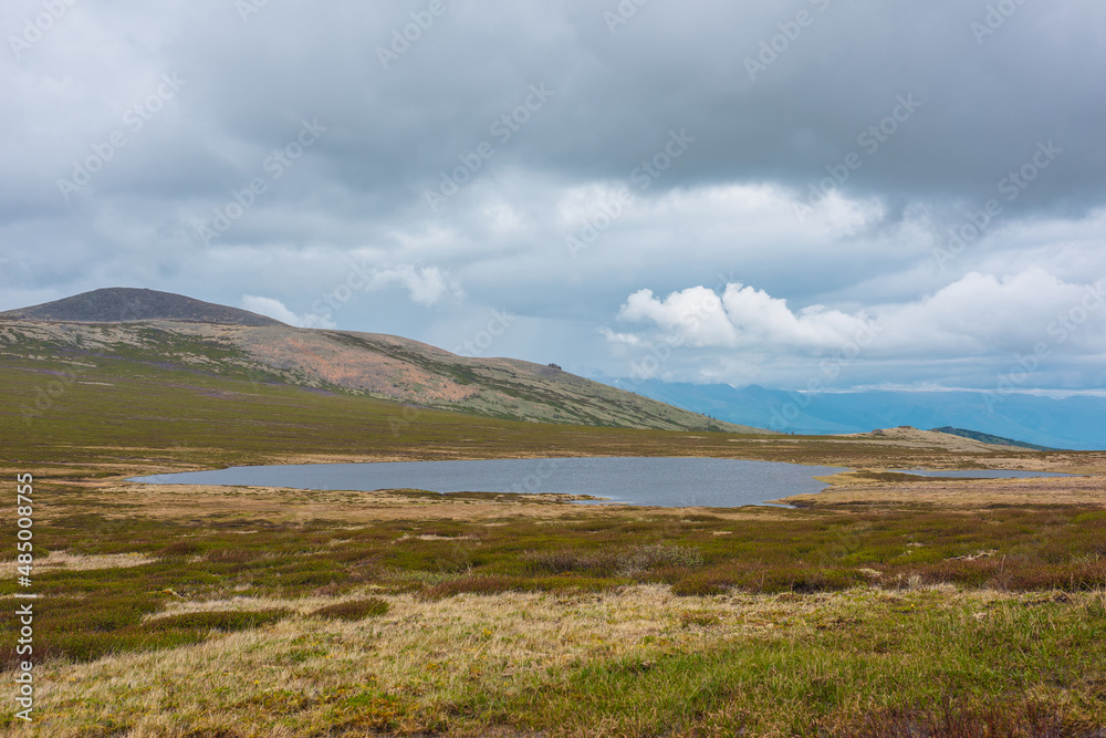 Scenic landscape with swampy lake on sunlit moss plateau with view to mountain vastness in low clouds. Dramatic scenery with mountain lake in moss tableland under gray cloudy sky at changeable weather Scenic landscape with swampy lake on sunlit moss plateau with view to mountain vastness in low clouds. Dramatic scenery with mountain lake in moss tableland under gray cloudy sky at changeable weather
