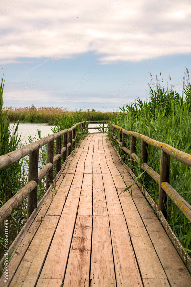 Obraz premium wooden bridge over swamp at sunset