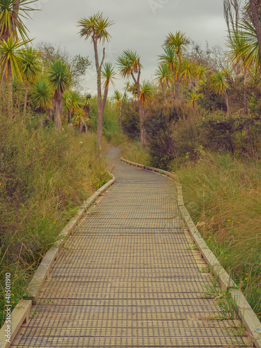 path to the beach