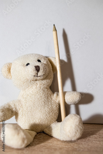 little white teddy bear holding a pencil