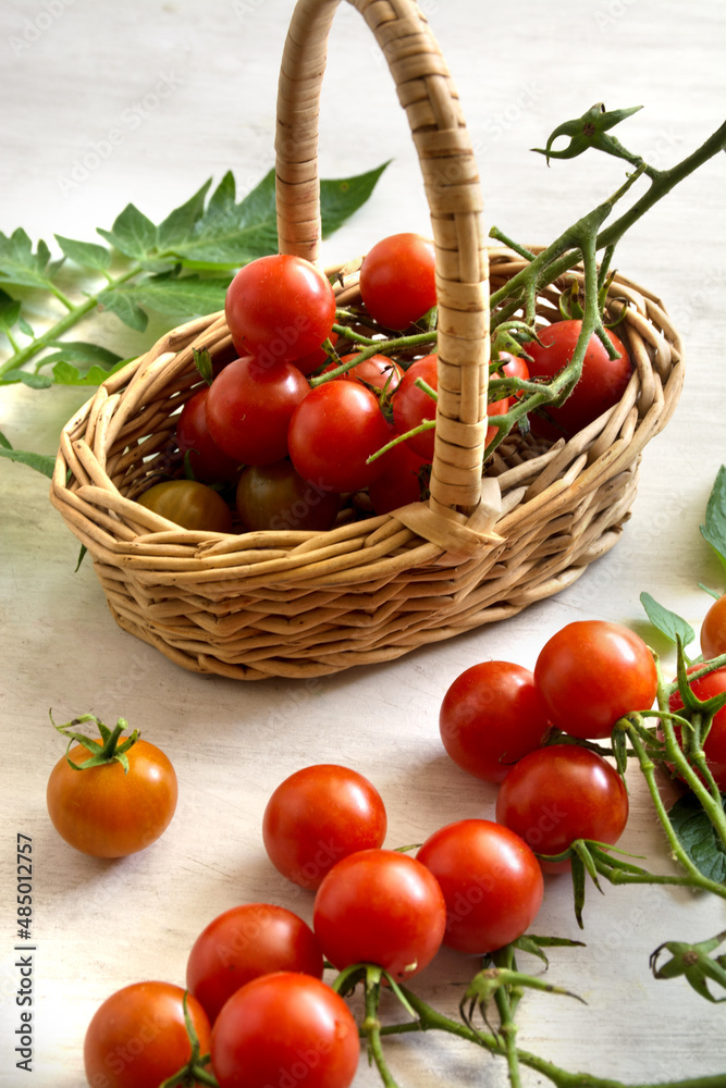cherry tomatoes in basket and on table on light background. cherry tomatoes in basket and on table on light background.