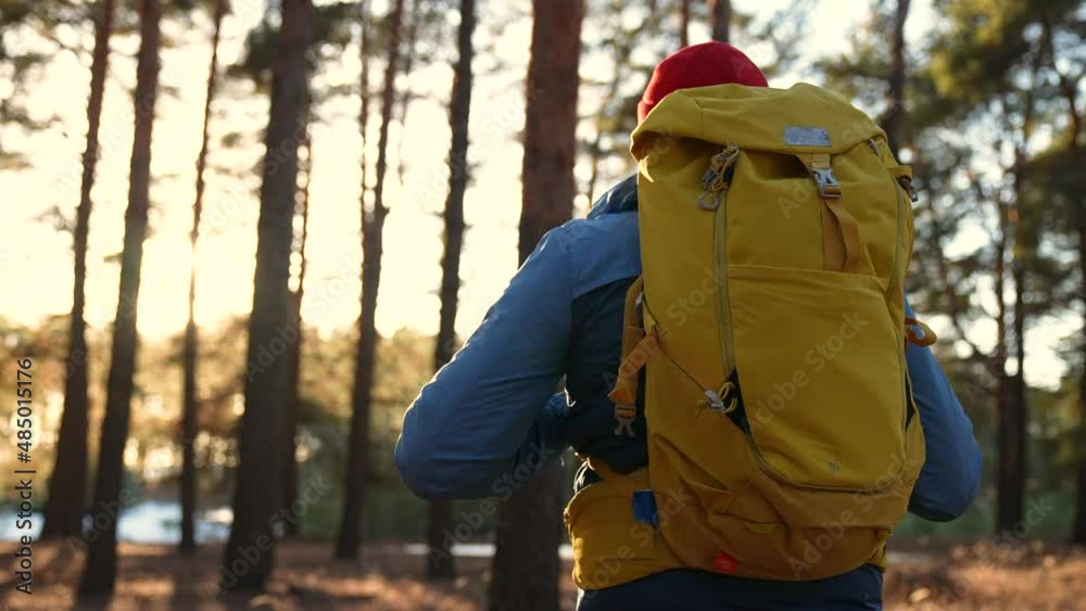 hipster hiker in the forest park. adventure a travel ecotourism concept. hiker tourist with backpack lifestyle. hipster with man tourist backpack green pine trees. travel forest park nature hipster hiker in the forest park. adventure a travel ecotourism concept. hiker tourist with backpack lifestyle. hipster with man tourist backpack green pine trees. travel forest park nature