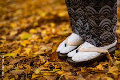 銀杏の落ち葉の上に立つ着物姿の女性の足元（大島紬と草履）
