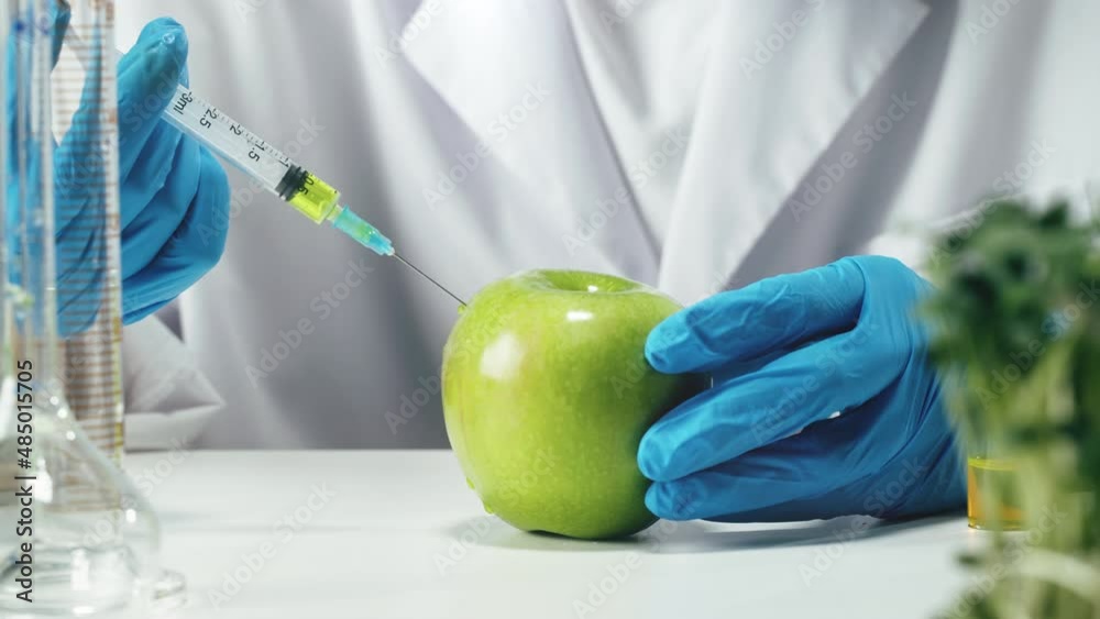 Medical scientist inspecting apple, working in laboratory. Food research, genetic Modifications of Product. Microbiologist analyzing lab-grown pieces of fruit. Medical scientist inspecting apple, working in laboratory. Food research, genetic Modifications of Product. Microbiologist analyzing lab-grown pieces of fruit.