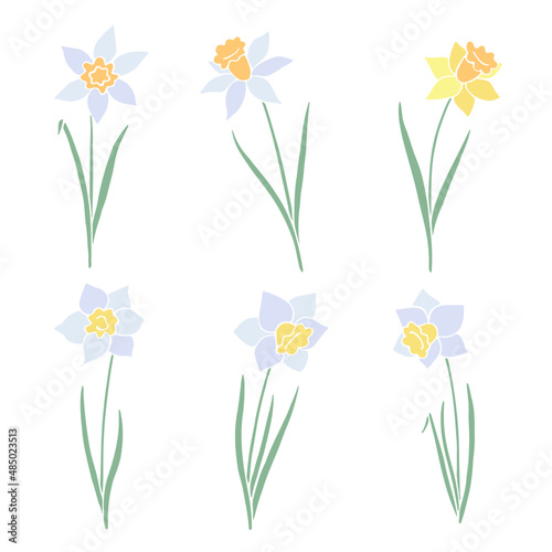 Set of yellow and white daffodils